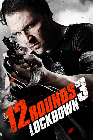 12 Rounds 3 Lockdown 2015 Hindi Dual Audio [780MB] Movie Poster