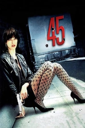 .45 (2006) Hindi Dual Audio [700MB] Movie Poster