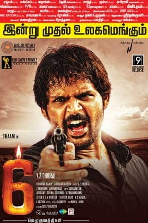 6 Candles (2013) Hindi Dubbed 350MB Movie Poster