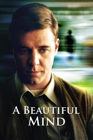 A Beautiful Mind 2001 Hindi Dual Audio [1.2GB] Movie Poster