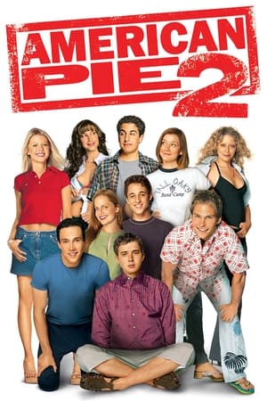 American Pie 2 (2001) Hindi Dual Audio [990MB] Movie Poster