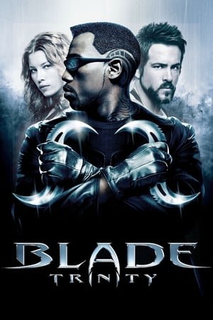 Blade Trinity (2004) 100mb Hindi Dual Audio movie Download Movie Poster