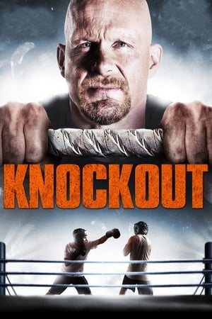 Born to Fight 2011 Hindi Dual Audio [1.3GB] Movie Poster