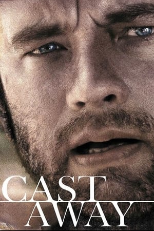 Cast Away 2000 Hindi Dual Audio 450MB Movie Poster
