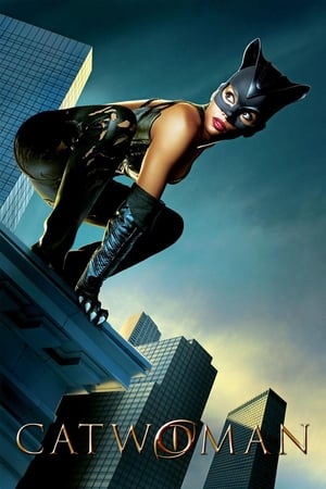 Catwoman (2004) Hindi Dual Audio 400MB Movie Poster