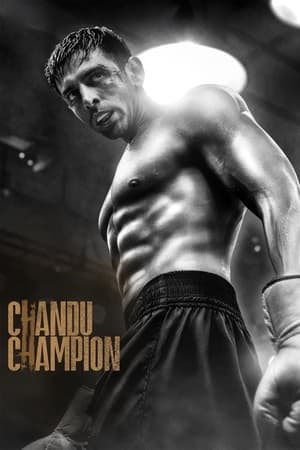 Chandu Champion 2024 Hindi Movie Poster