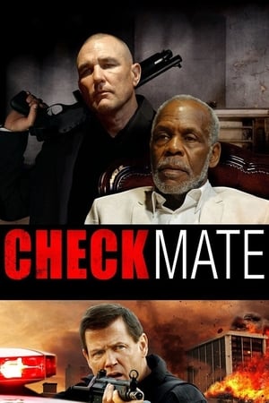 Checkmate (2015) 300MB Hindi Dual Audio Download Movie Poster