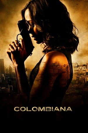 Colombiana (2011) Hindi Dual Audio [1.1GB] Movie Poster