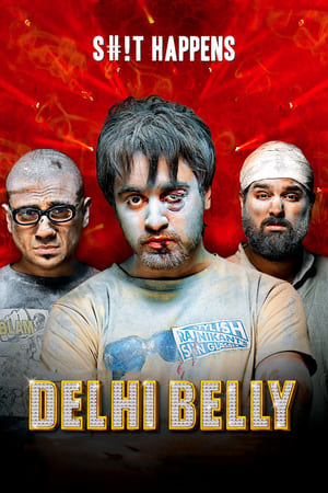 Delhi Belly 2011 Full Movie Download [750MB] Movie Poster