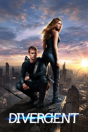 Divergent (2014) Hindi Dual Audio [1.3GB] Movie Poster