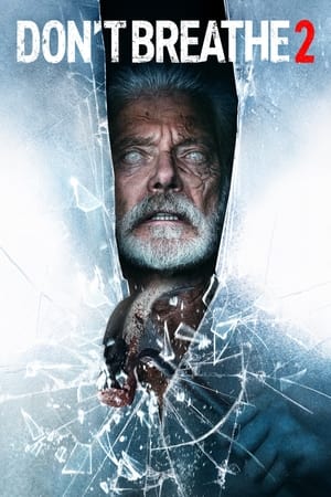 Don’t Breathe 2 (2021) Hindi Dual Audio [900MB] Movie Poster