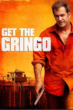 Get the Gringo (2012) Hindi Dual Audio [850MB] Movie Poster