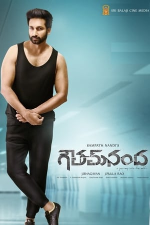 Goutham Nanda (2017) (Hindi – Telugu) Dual Audio – Movie Poster