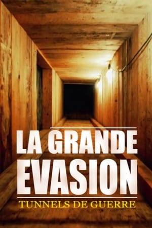 GREAT ESCAPE (2018) Hindi Dubbed 450MB Movie Poster