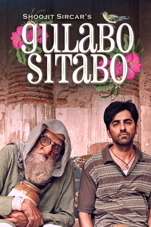 Gulabo Sitabo 2020 Hindi Movie - [360MB] Movie Poster