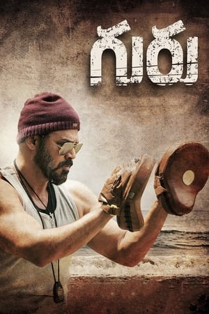 Guru (2017) Hindi Dual Audio [1.1GB] Movie Poster