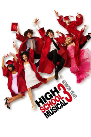 High School Musical 3 (2008) Hindi Dual Audio [950MB] Movie Poster
