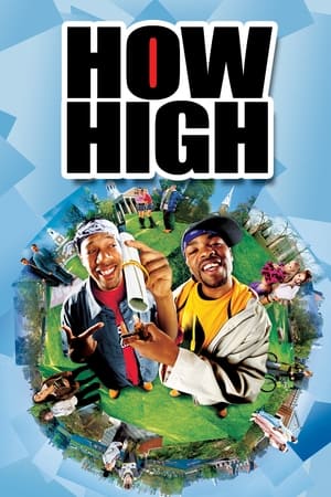 How High (2001) Hindi Dual Audio [800MB] Movie Poster