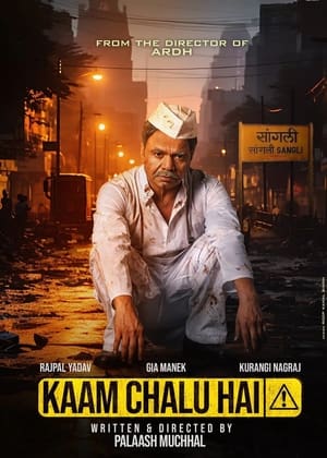 Kaam Chalu Hai 2024 Hindi – – Movie Poster
