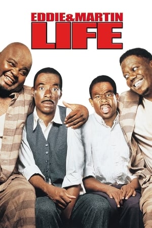 Life (1999) Hindi Dual Audio [1.3GB] Movie Poster