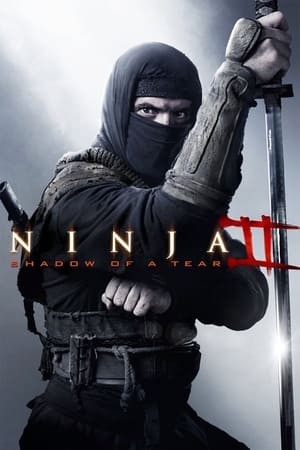 Ninja Shadow of a Tear 2013 Hindi Dual Audio [800MB] Movie Poster