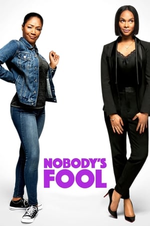 Nobody's Fool (2018) Hindi Dual Audio 360MB Movie Poster