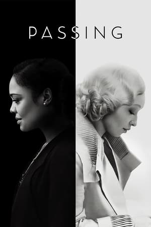 Passing 2021 Hindi Dual Audio [1.2GB] Movie Poster