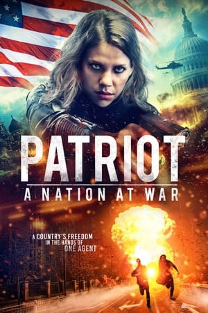 Patriot A Nation at War 2020 Hindi Dual Audio 300MB Movie Poster