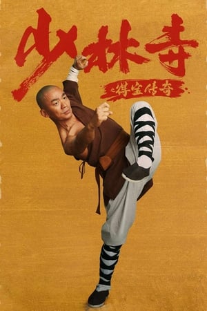 Rising Shaolin: The Protector (2021) Hindi Dual Audio – Movie Poster