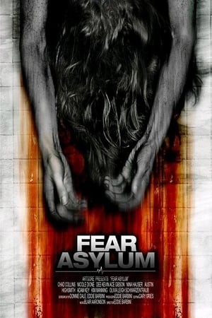 Room 33 (2009) Hindi Dual Audio 300MB Movie Poster