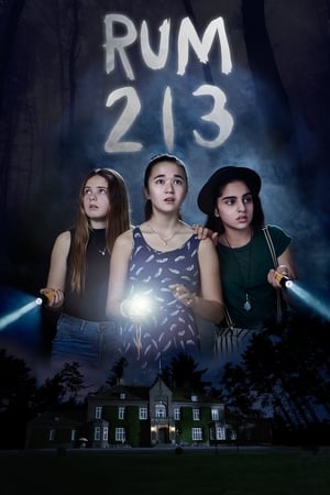 Rum 213 2017 Hindi Dual Audio 280MB Movie Poster