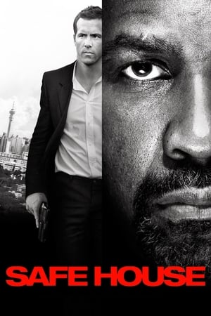 Safe House (2012) Hindi Dual Audio [1GB] Movie Poster
