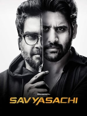 Savyasachi (2018) Hindi Dual Audio [1.2GB] Movie Poster