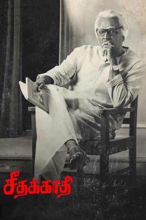 Seethakaathi (2018) Hindi Dubbed 400MB Movie Poster