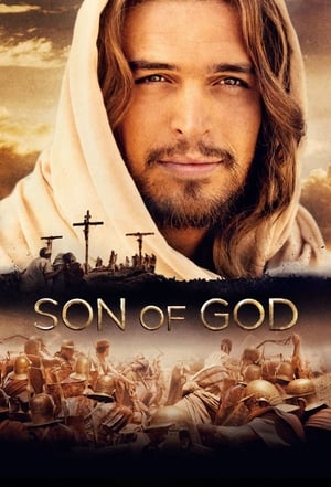 Son of God 2014 Hindi Dual Audio [980MB] Movie Poster