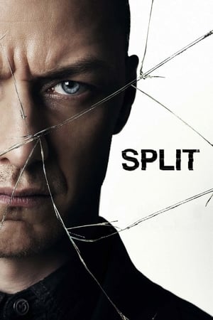 Split (2016) Movie HC [900MB] Download Movie Poster