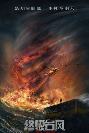 Super Typhoon 2020 Hindi Dual Audio – Movie Poster