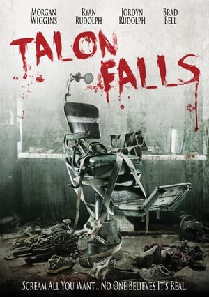 Talon Falls (2017) Hindi Dual Audio 300MB Movie Poster