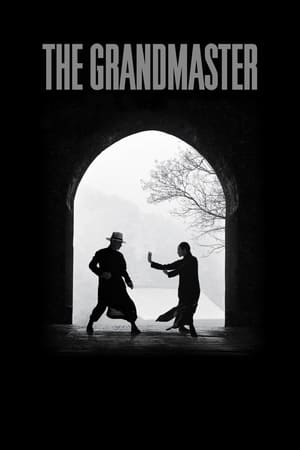 The Grandmaster (2013) Hindi Dual Audio 350MB ESubs Movie Poster