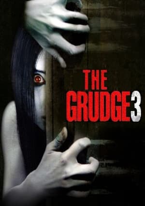 The Grudge 3 2009 Hindi Dual Audio [890MB] Movie Poster