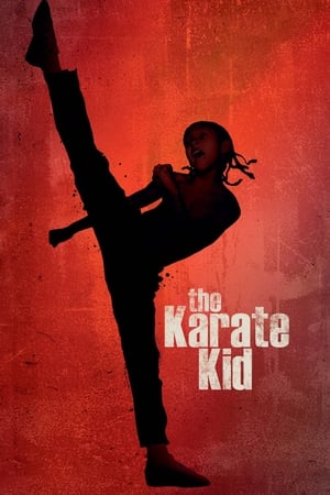 The Karate Kid 2010 Hindi Dubbed 300MB Full Movie Movie Poster
