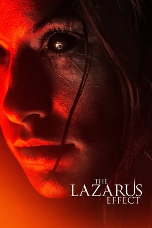 The Lazarus Effect (2015) Hindi Dual Audio [800MB] Movie Poster