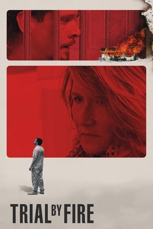 Trial by Fire 2018 Hindi Dual Audio [1GB] Movie Poster