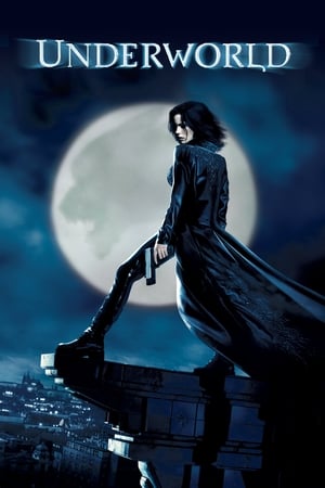 Underworld (2003) 100mb Hindi Dual Audio movie Download Movie Poster