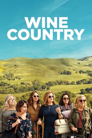 Wine Country (2019) Hindi Dual Audio 350MB Movie Poster
