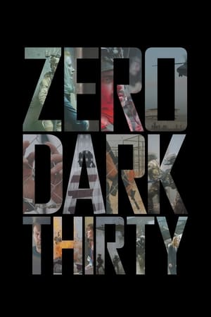 Zero Dark Thirty 2012 Hindi Dual Audio [1.2GB] Movie Poster